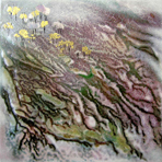 from Small Framed Pieces gallery